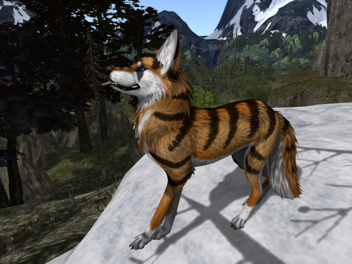 TWI Tiger Fox Texture Applier