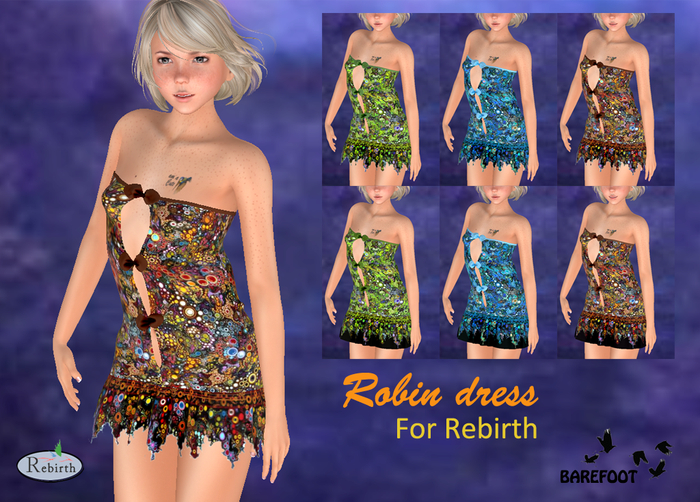 Colorfull Robin -  6 Dress for Rebirth