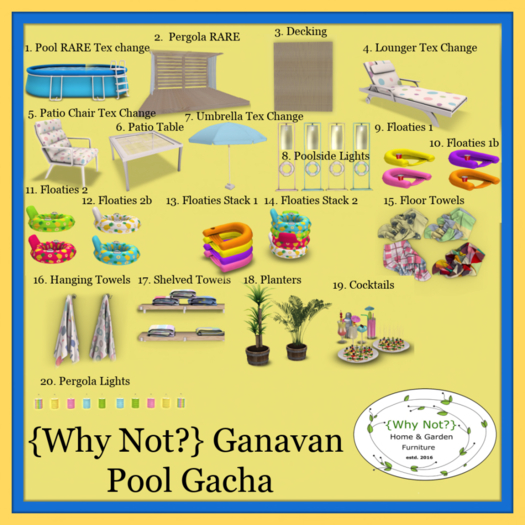 REDUCED CLEARANCE 1.{Why Not?} Ganavan Pool-Texture Change RARE