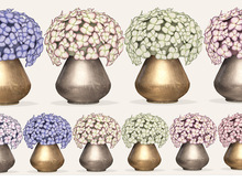 Dahlia - Lazy Days -  Hydrangeas - FULL SET 
