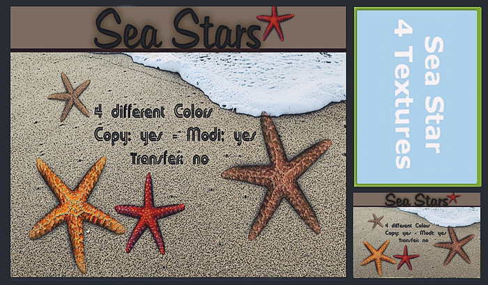 Sea Star Set 4 Colors