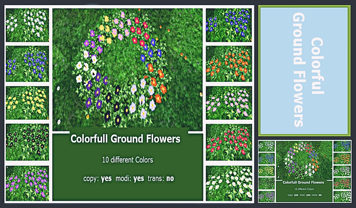 Colorfull Ground Flowers
