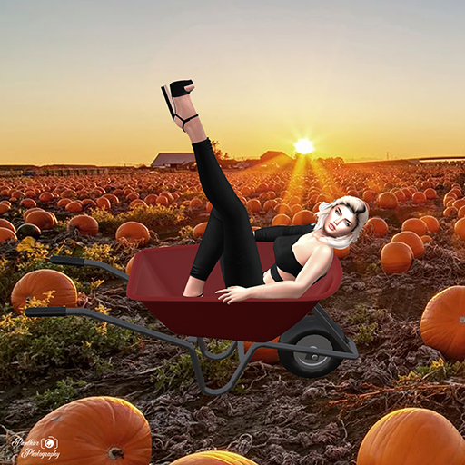 [Panthar Pose] Pumpkin Patch