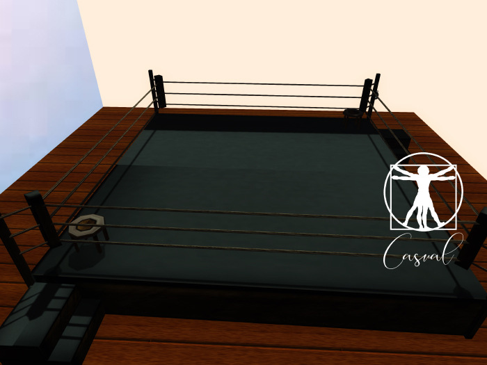 Boxing Ring ::Casual ::