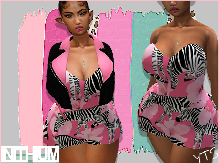 YTS-WILD ZEBRA(KUPRA)