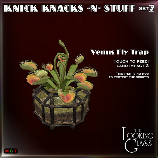 TLG - KKNS2 -Venus Fly Trap