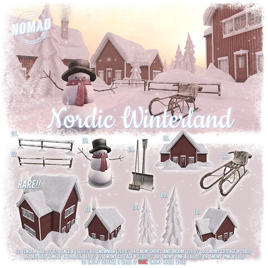 NOMAD // Nordic Winterland // RARE