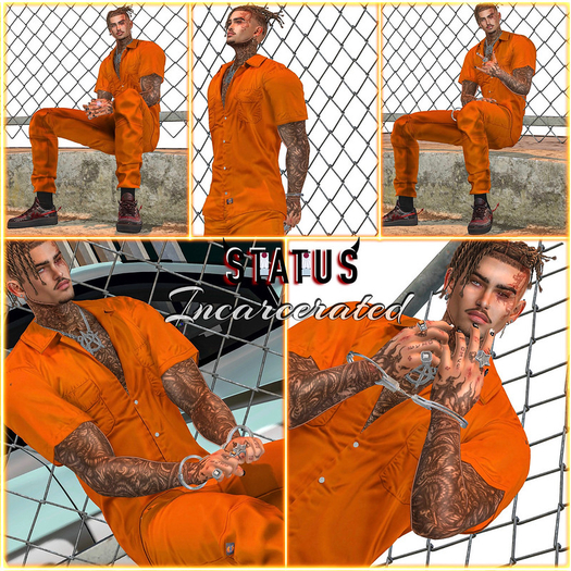 STATUS ~ Incarcerated Posepack