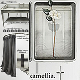 7/{anc}: darkroom / tray . camellia