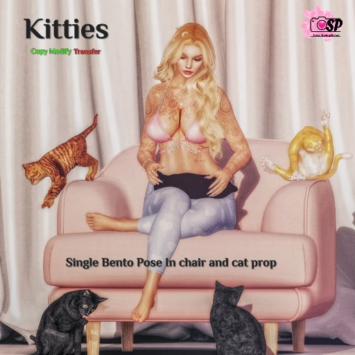  Kitties
