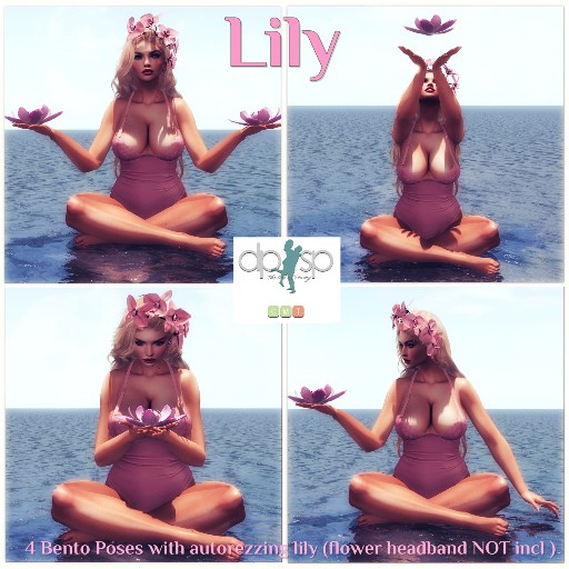  Lily 