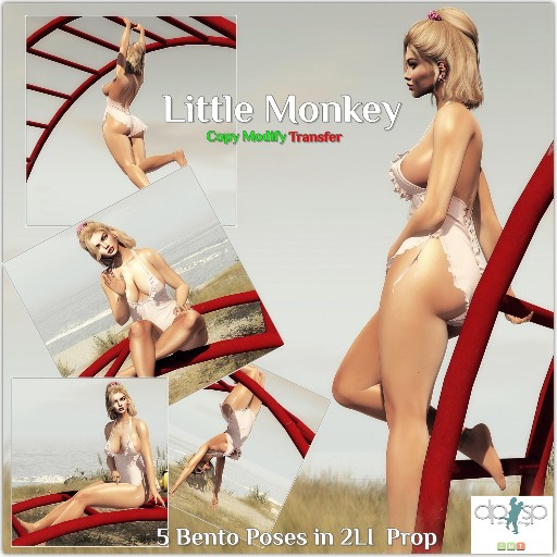 Little Monkey