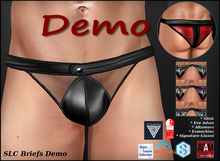 SLC Briefs Demo (unpacked)