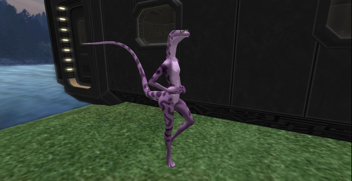 MMnM Bento Salamander Set