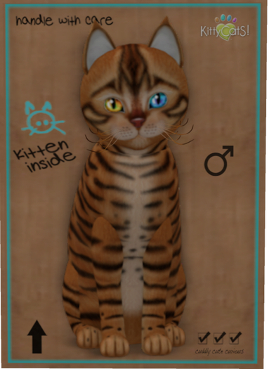 KittyCatS Box - Toyger - Caramel