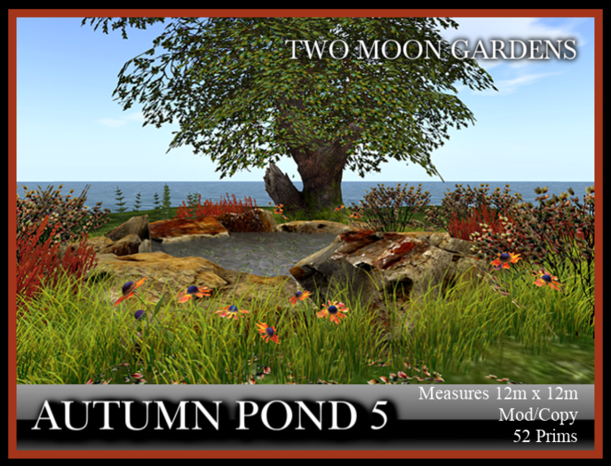 Autumn Pond 5