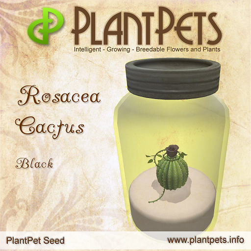 PlantPet Seed [Rosacea Cactus *Black*] Updated