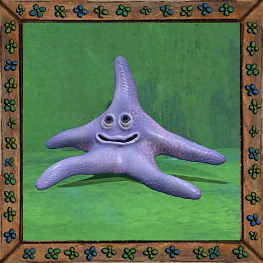 Cica's starfish 1