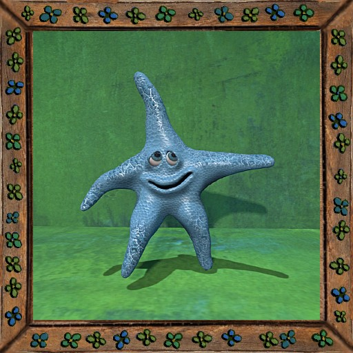 Cica's starfish 3
