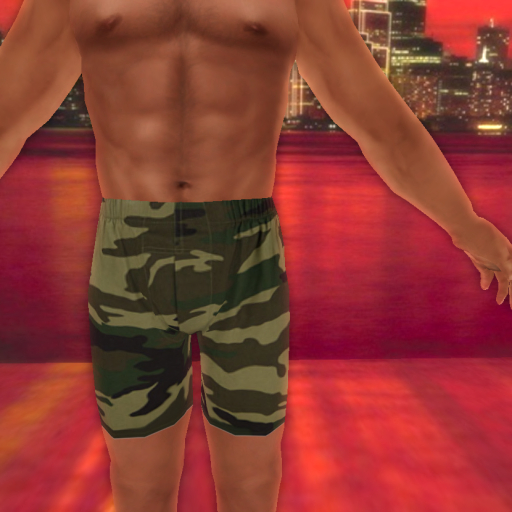 WT Mens Camo Briefs {BOXED}