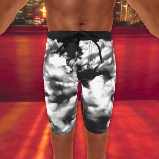 WT Black & White Surfer Shorts {BOXED}