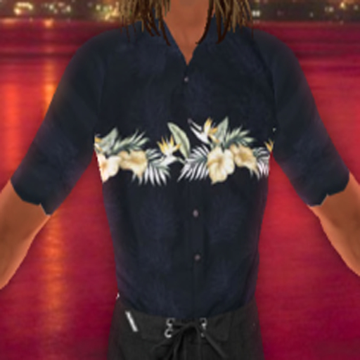 WT Hawaiian Shirt 4 {BOXED}