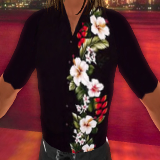WT Hawaiian Shirt 1 {BOXED}