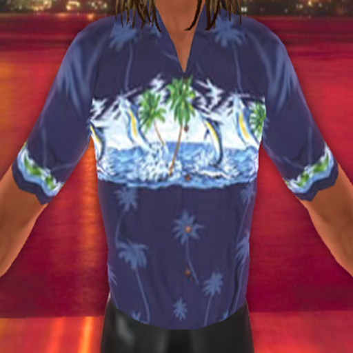 WT Hawaiian Shirt 3 {BOXED}