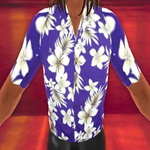 WT Hawaiian Shirt 5 {BOXED}