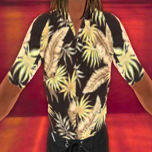 WT Hawaiian Shirt 2 {BOXED}