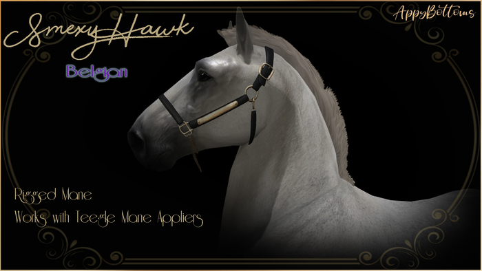 :AppyBottoms: TeeglePet - SmexyHawk- Belgian
