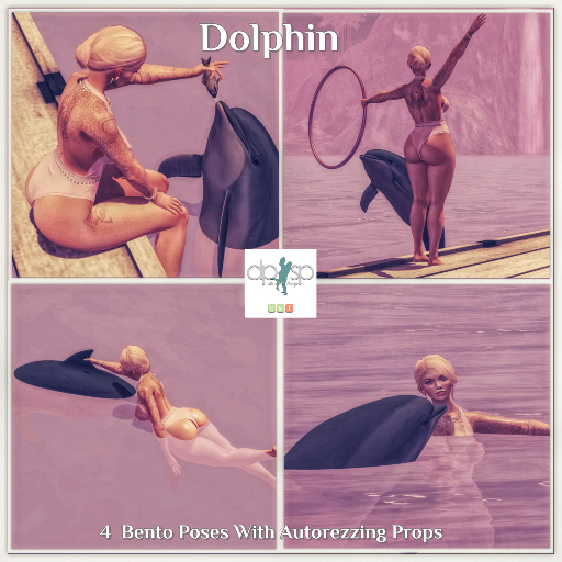  Dolphin  