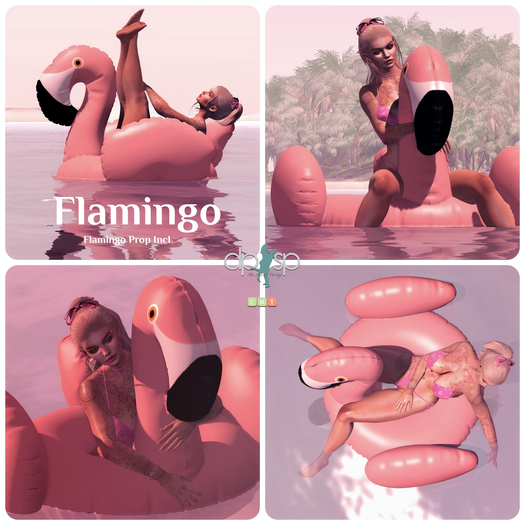 Flamingo