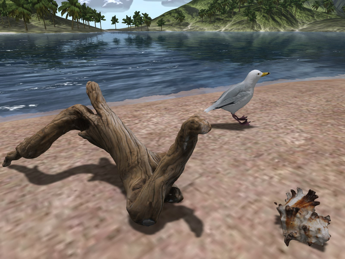 VRDz Dynamic Beach Animated Seagulls & Realistic Ocean Sounds