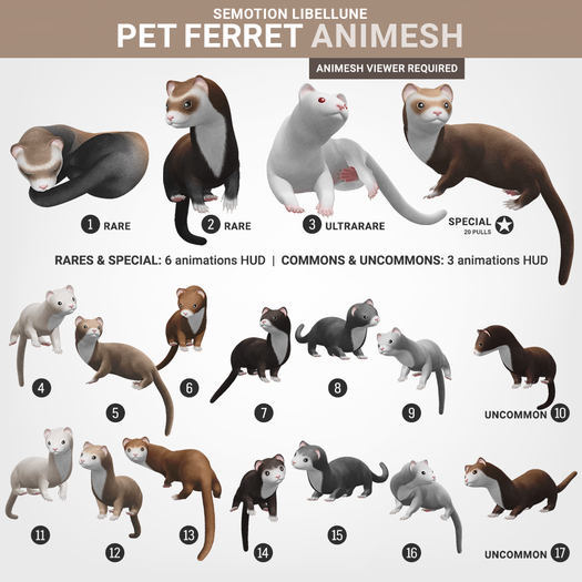SEmotion Libellune Pet Ferret Animesh #17 UNCOMMON