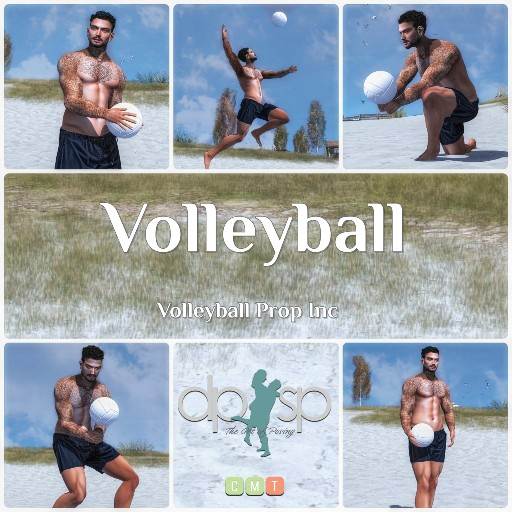 Volleyball 