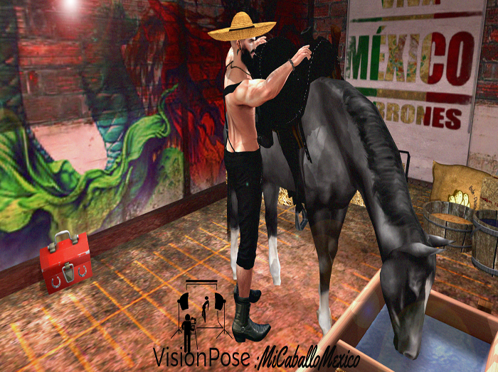 VisionPose:MiCaballoMexico