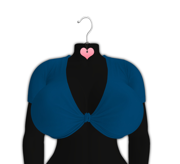 *CY* Mandii . Blueberry . Top // (Add)