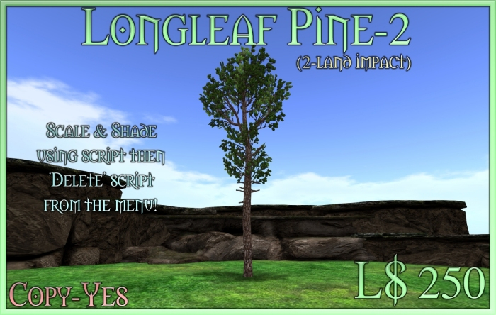 Longleaf Pine-2-SE (box)