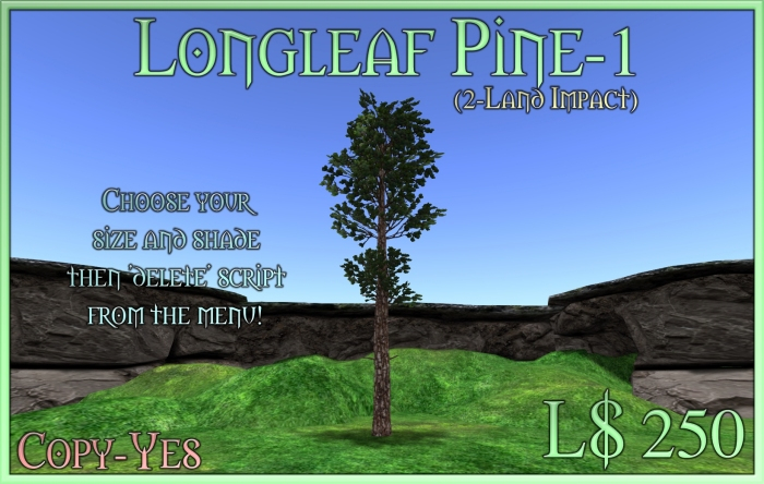 Longleaf Pine-1-SE (box)