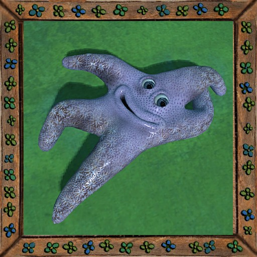 Cica's starfish 9
