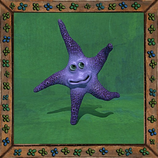 Cica's starfish 10