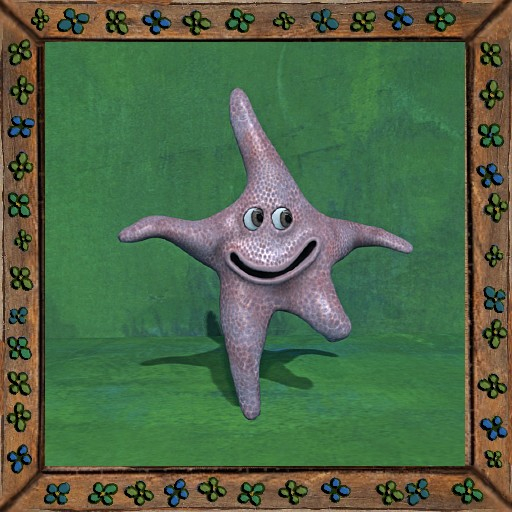 Cica's starfish 13