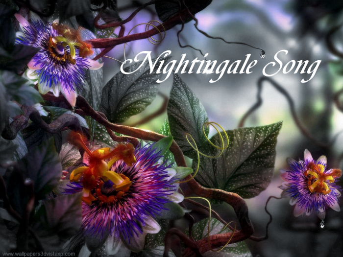 Soundscapes - Rock-Nightingale Song