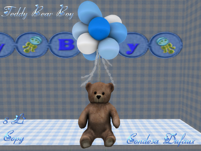 Teddy Bear Boy