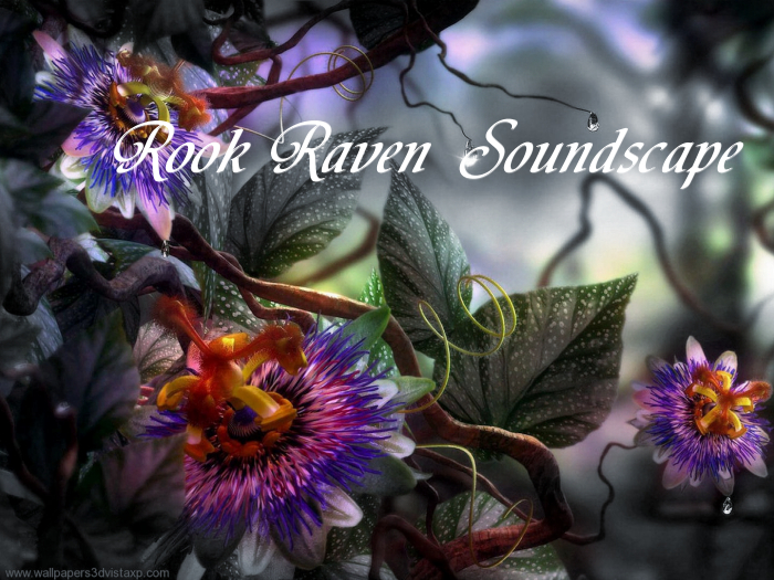 Soundscapes-Rock-Raven Rook Sound