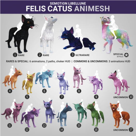 SEmotion Libellune Felis Catus Animesh #15
