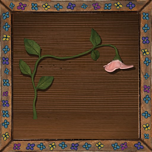 Cica's big flower