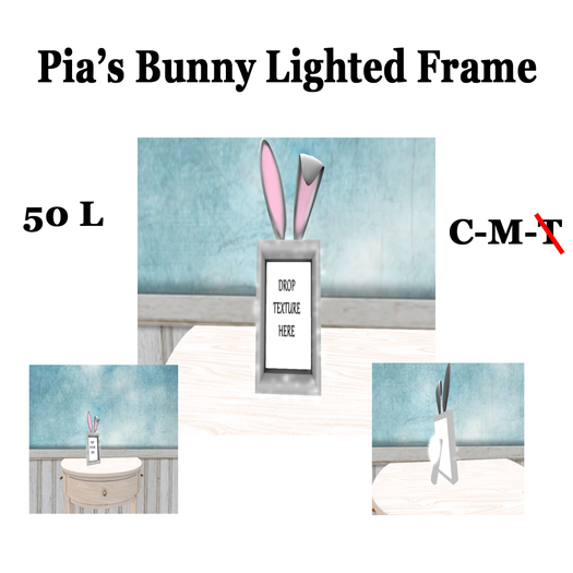 Pia's Bunny Lighted Frame