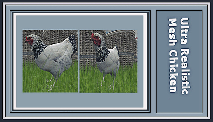 Ultra Realistic Chicken